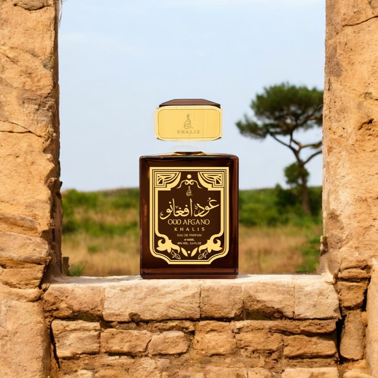 OUD AFGANO 100 ML EDP