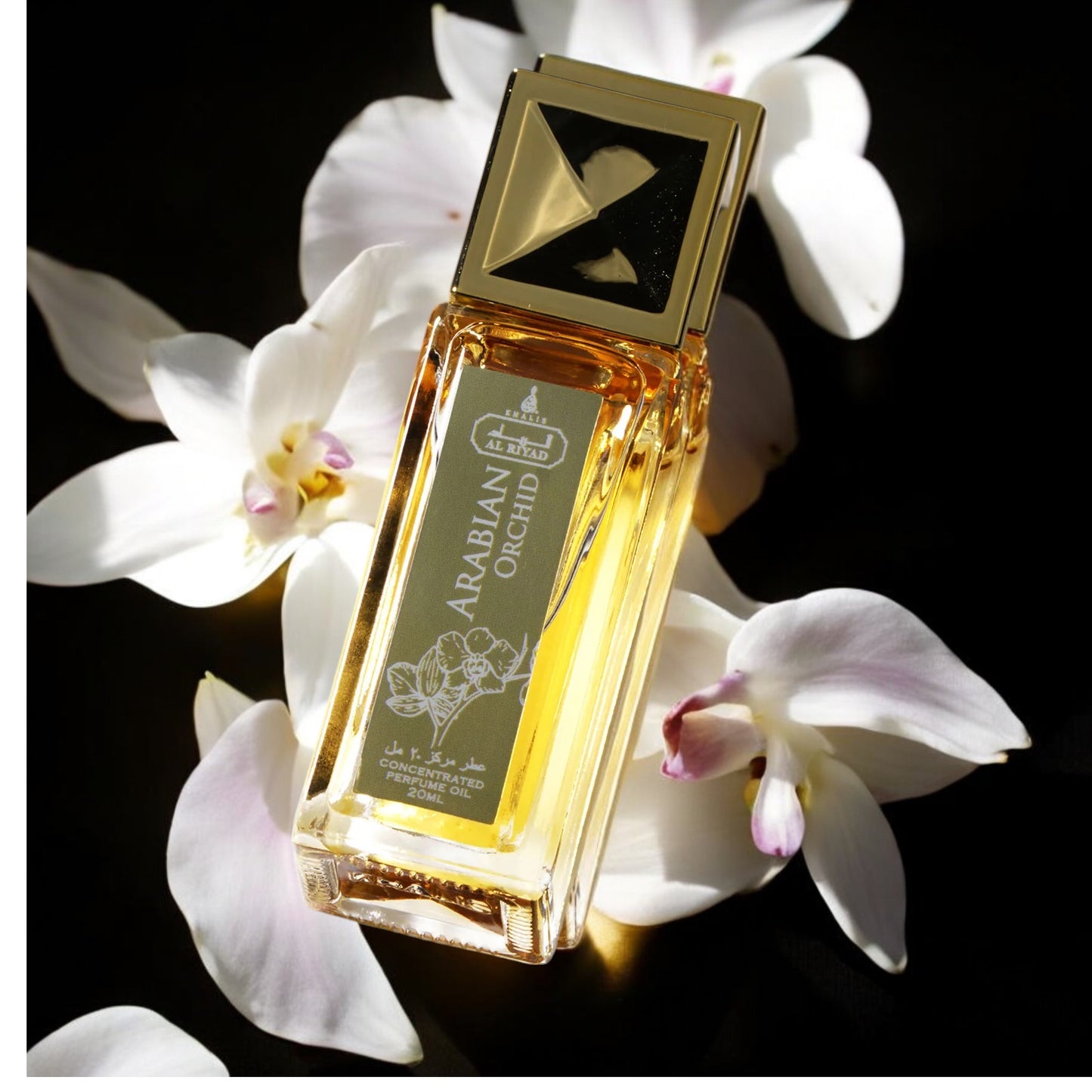 ARABIAN ORCHID 20 ML OIL (ROLL ON)