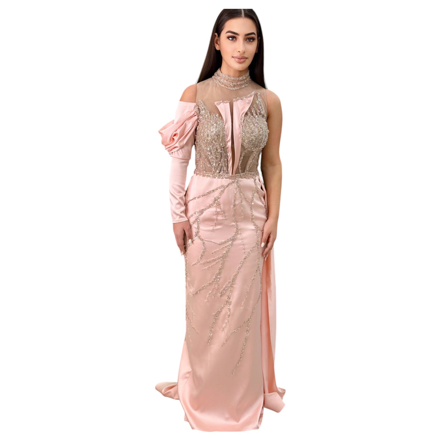Elegant Blush Pink  Long Dress-Detailed with Beautiful Crystals and Sequins