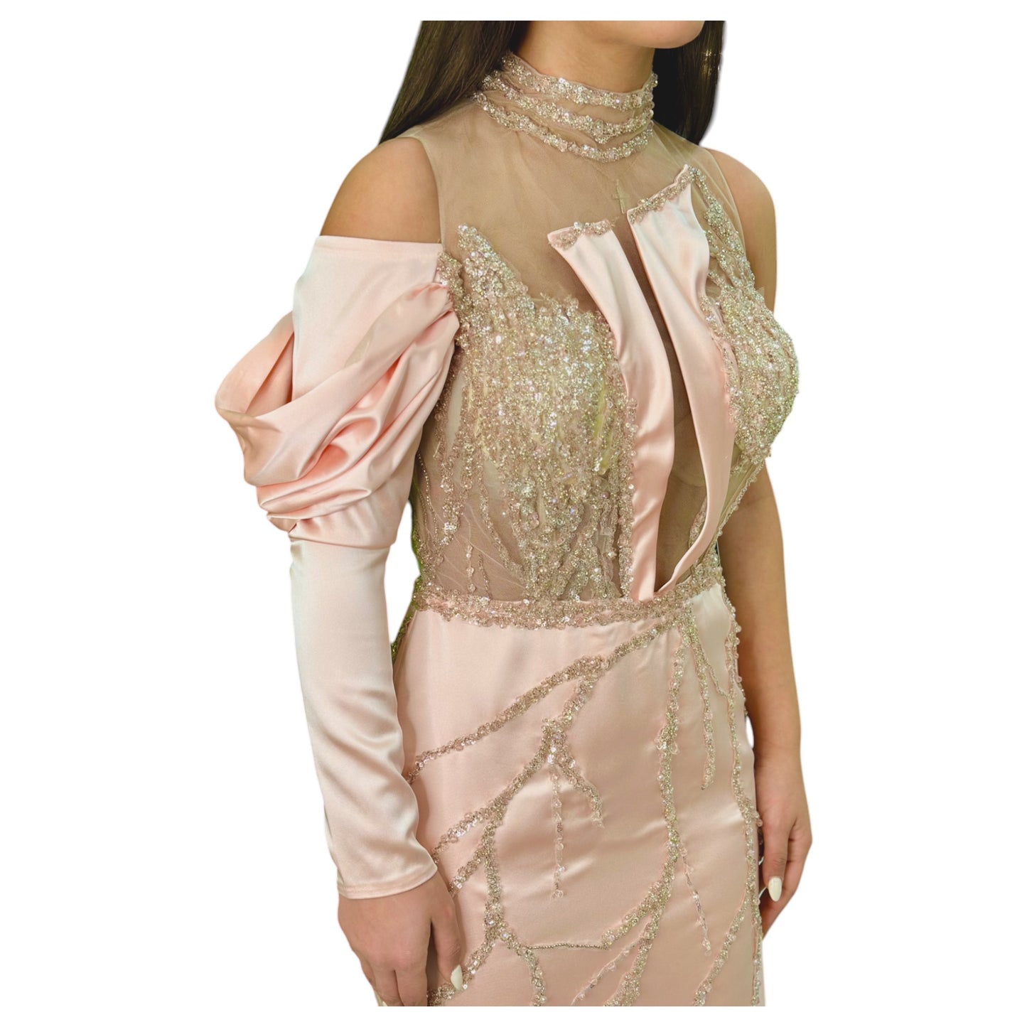 Elegant Blush Pink  Long Dress-Detailed with Beautiful Crystals and Sequins