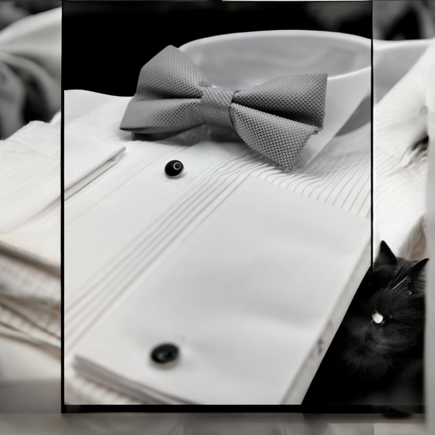 Silver Tie with Adjustable Strap-Reversible Model Silky and Textured Fabric