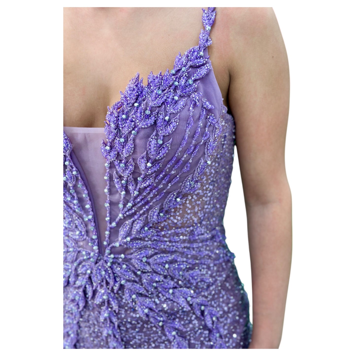 Purple Elegant Long Dress-Detailed with Beautiful Crystals and Sequins and Detachable Long Skirt