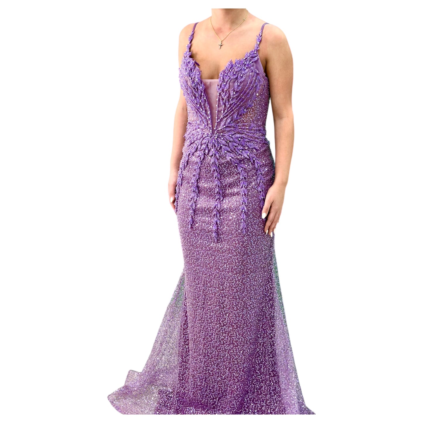 Purple Elegant Long Dress-Detailed with Beautiful Crystals and Sequins and Detachable Long Skirt